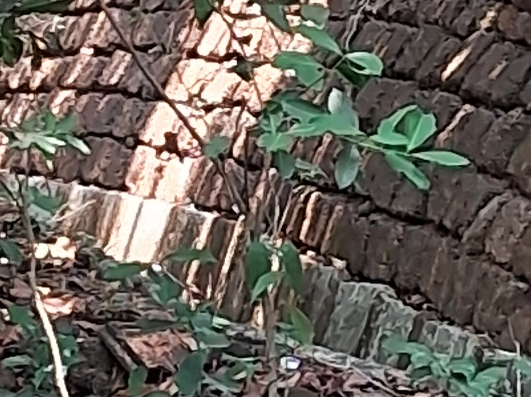 赛韦什兰海滩度假村-宾多尔主图