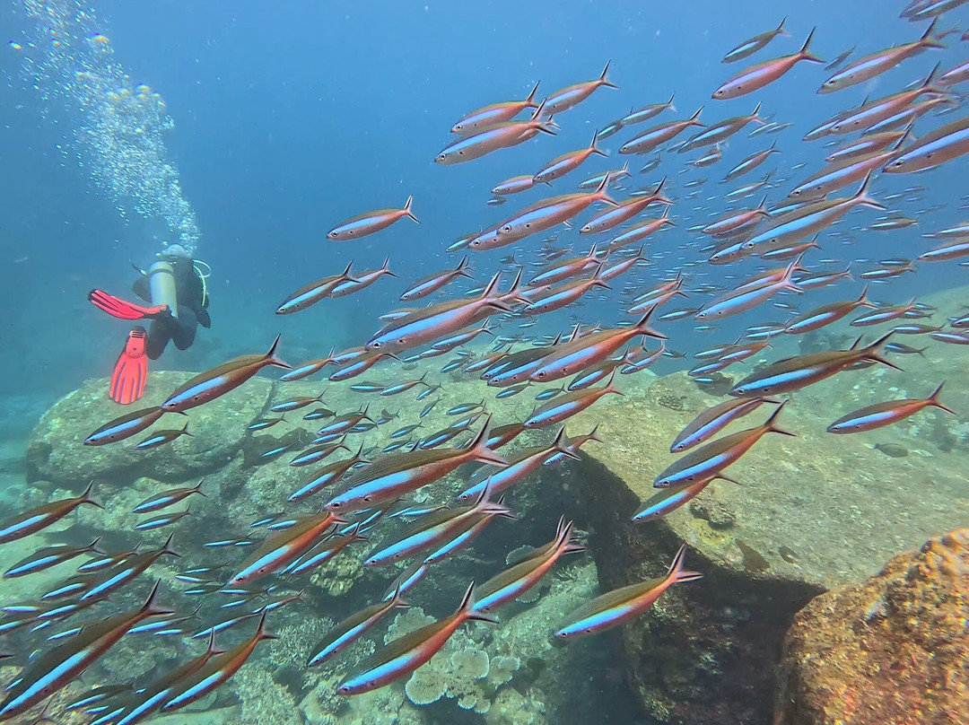 Me Diving Khao Lak-库克卡克海滩必去景点
