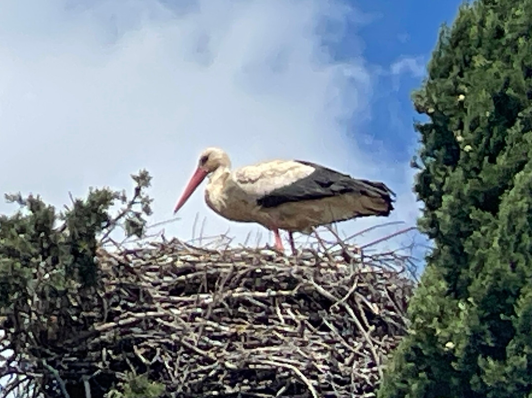 Quinta da Luz - 高级精品B&B主图