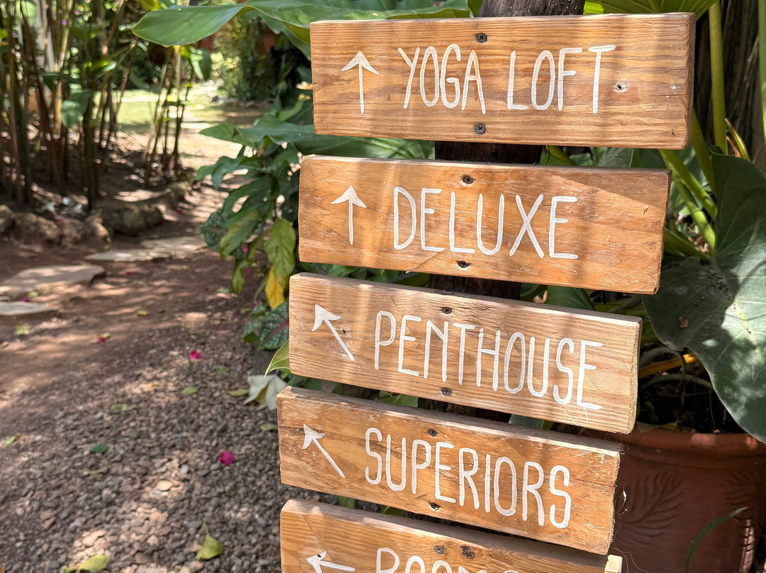 Surfbreak Cabarete B&B Surf And Yoga主图