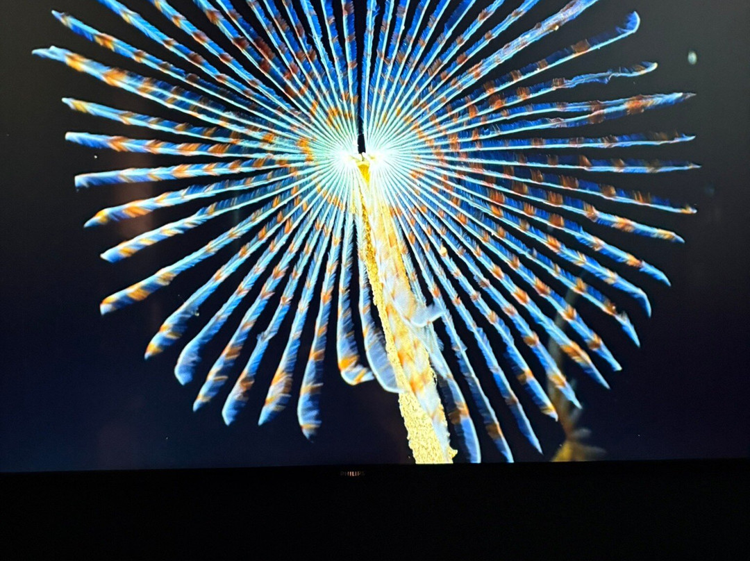 斯特兰德弗利克纳斯海洋酒店主图