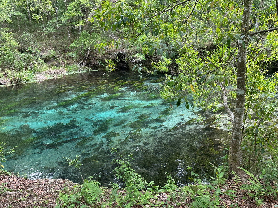 Ichetucknee Springs State Park-Fort White必去景点