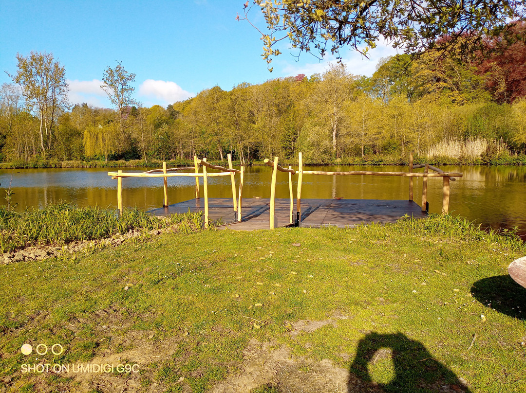 La plage de Renipont-Lasne必去景点
