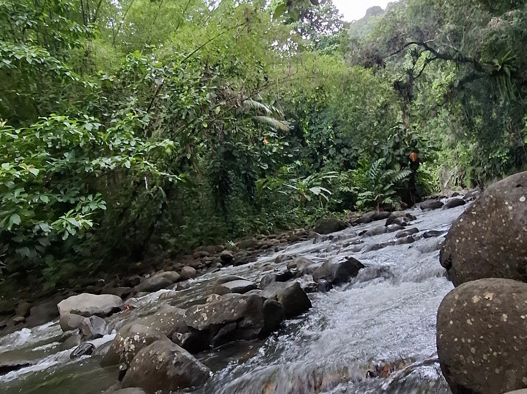 Canyon Moustique-Petit-Bourg必去景点