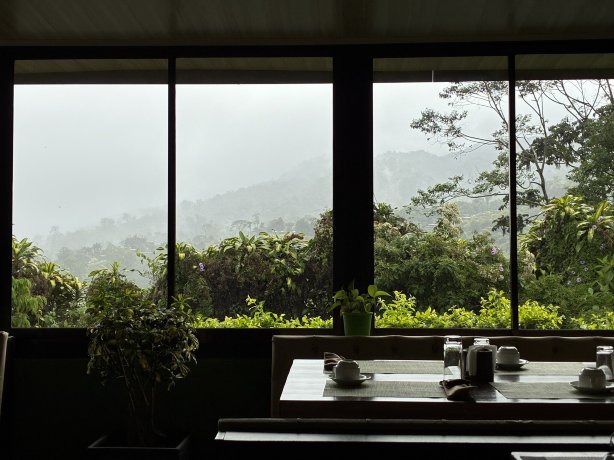 Essence Arenal Spa &瑜伽-旅行者