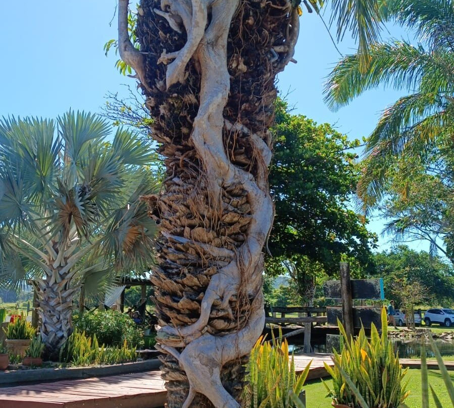 Fazenda Ceita Core-博尼图必去景点