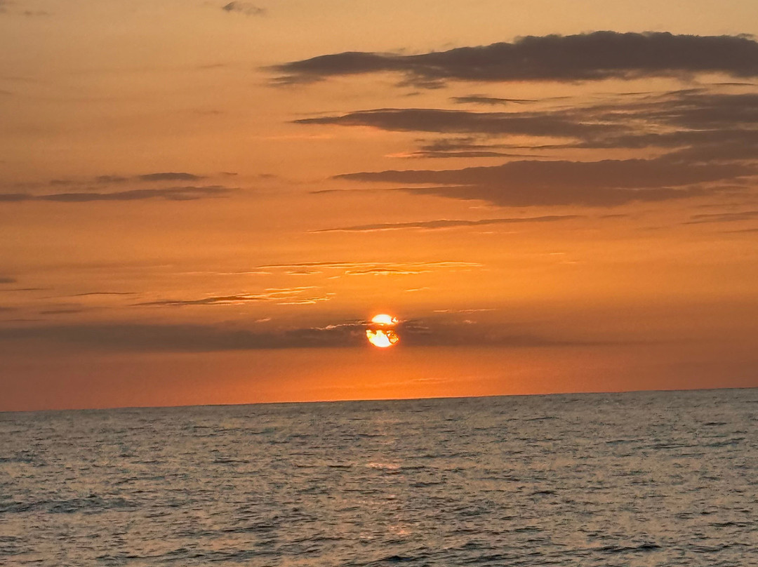 Kona Offshore Adventures-凯鲁瓦-柯纳必去景点