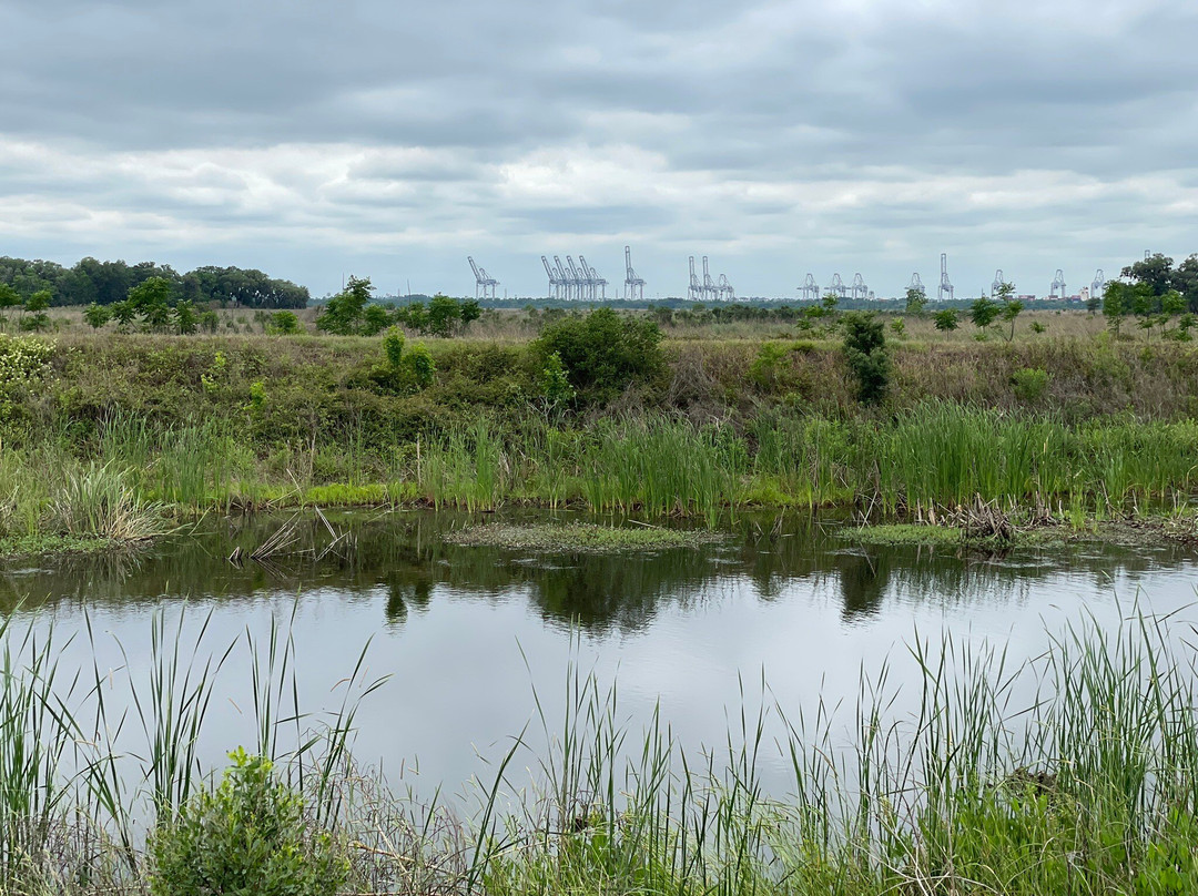 Savannah National Wildlife Refuge-Hardeeville必去景点
