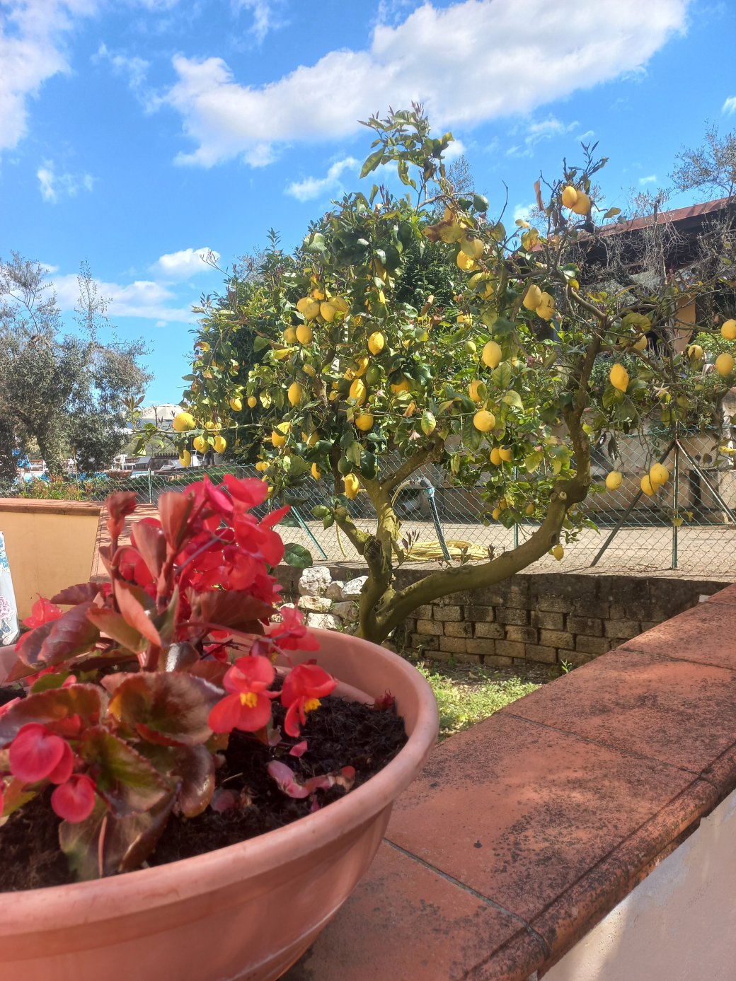 Casale di Valle Fredda-旅行者