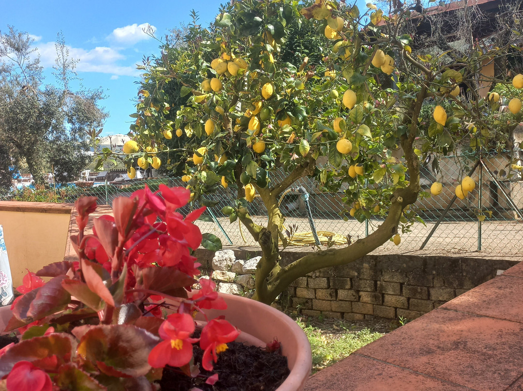 Casale di Valle Fredda主图