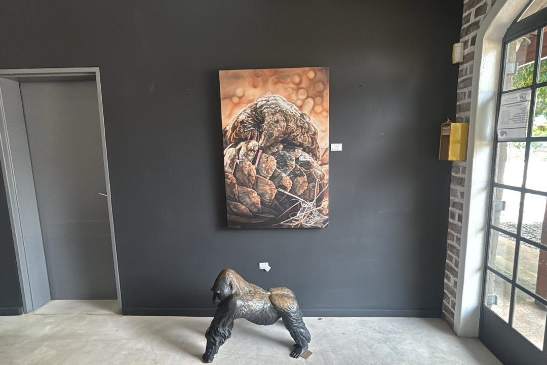 Warren Cary Wildlife Gallery-霍德斯普鲁特必去景点