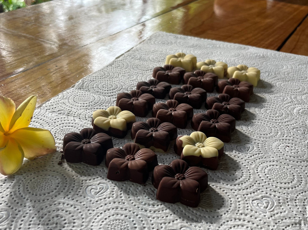Two Little Monkeys Chocolate Tour-福德圣卡洛斯必去景点