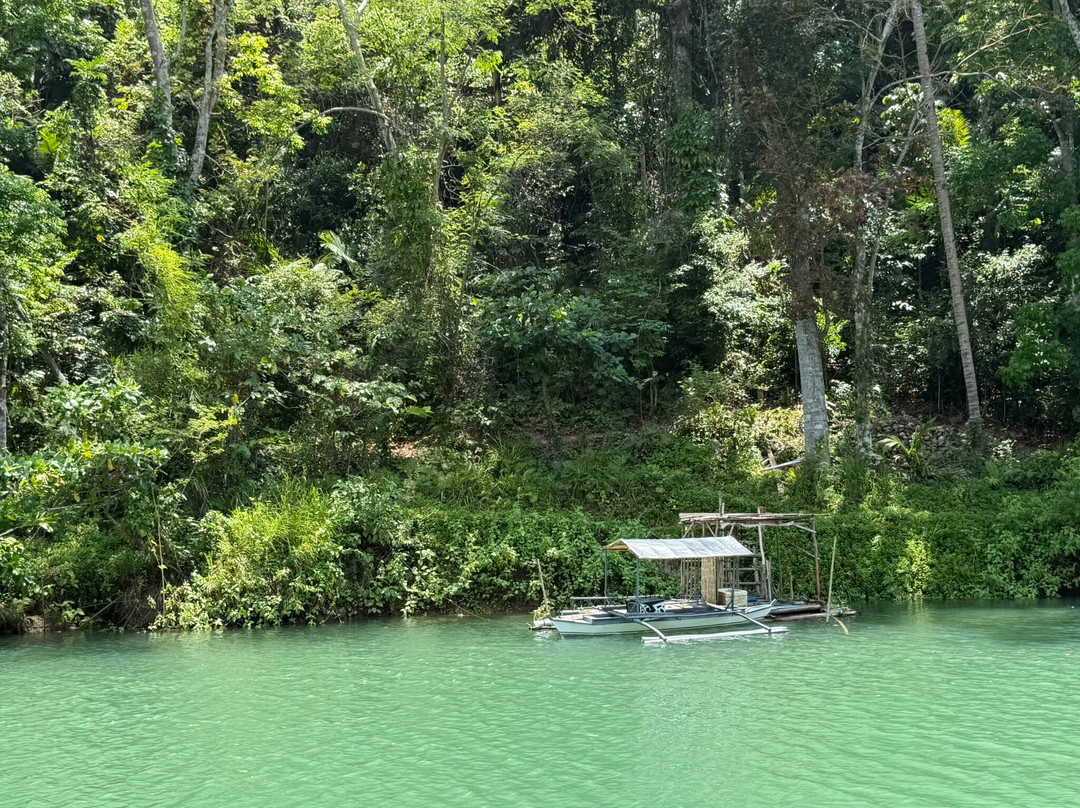 Loboc River Cruise-洛博克必去景点