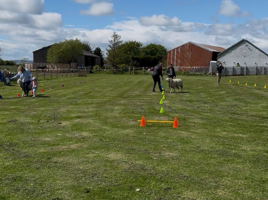 Craigbank Farm-Kilmarnock必去景点