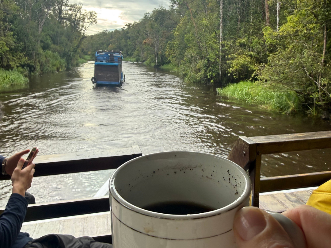 Local Guides - Tanjung Puting-Pangkalan Bun必去景点