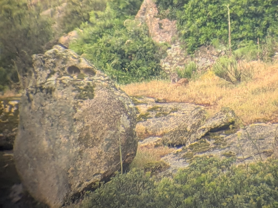 Sierra de Andújar – Lynx Territory-Andujar必去景点