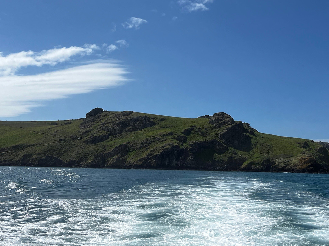 Pembrokeshire Islands Boat Trips-Skomer Island必去景点
