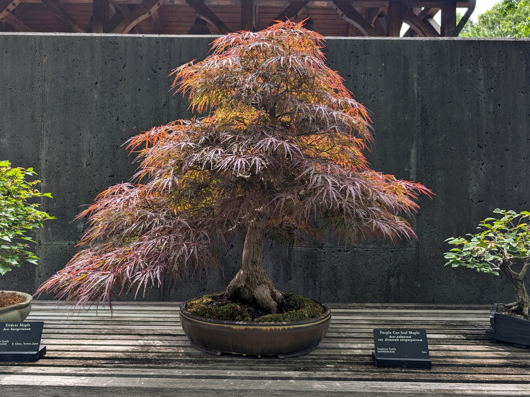 The North Carolina Arboretum-阿什维尔必去景点