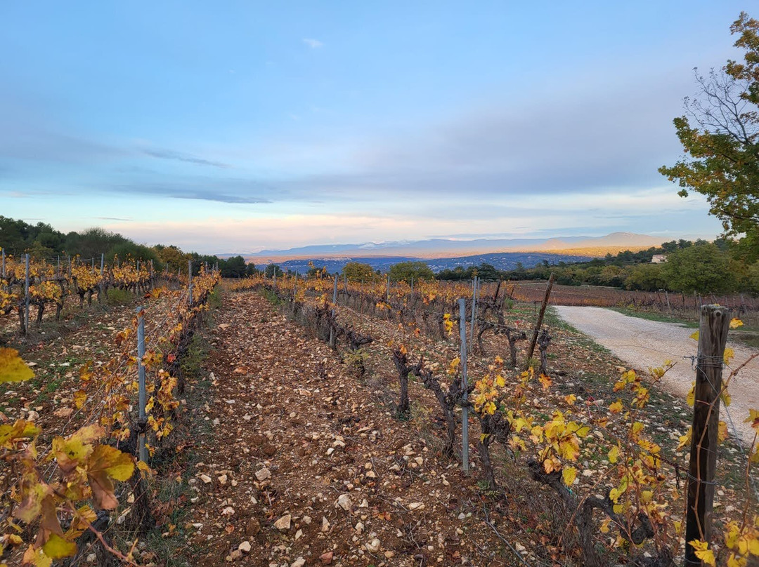 Domaine de Deffends