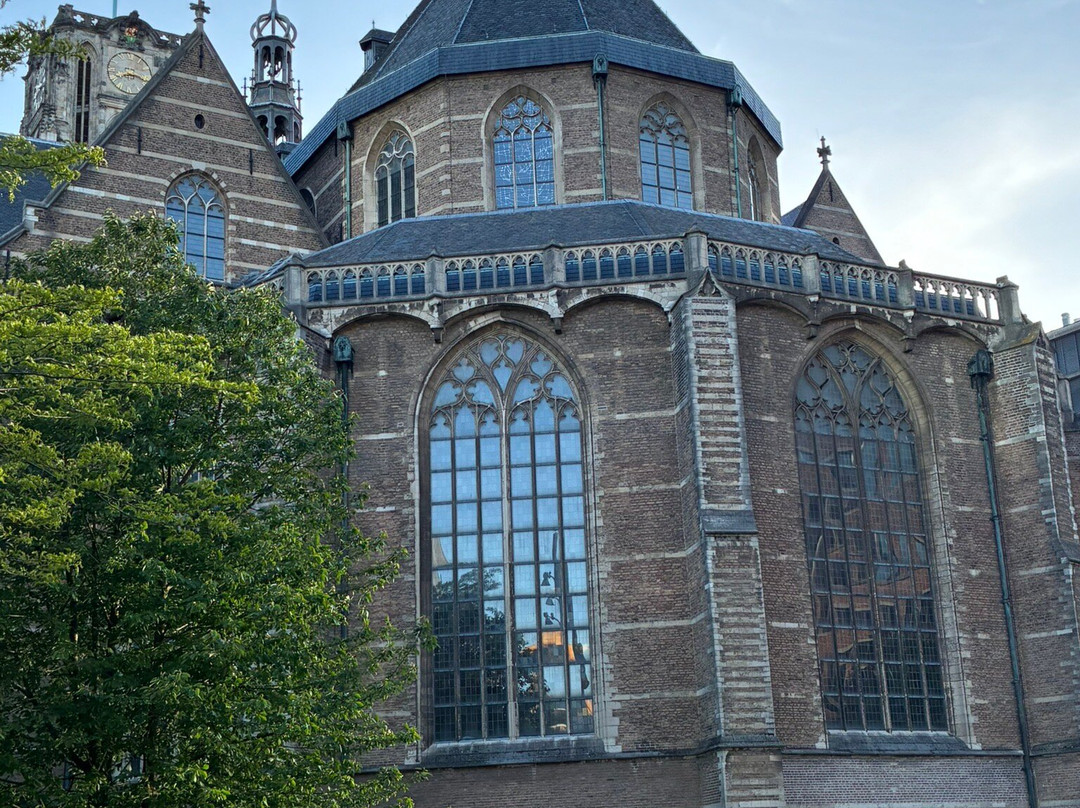 Grote of Sint-Laurenskerk-鹿特丹必去景点