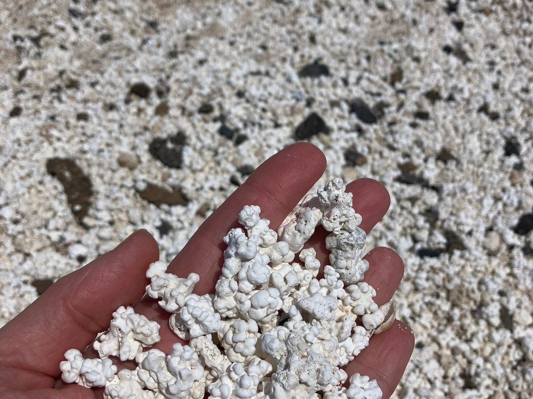 Popcorn Playa-科拉雷侯必去景点