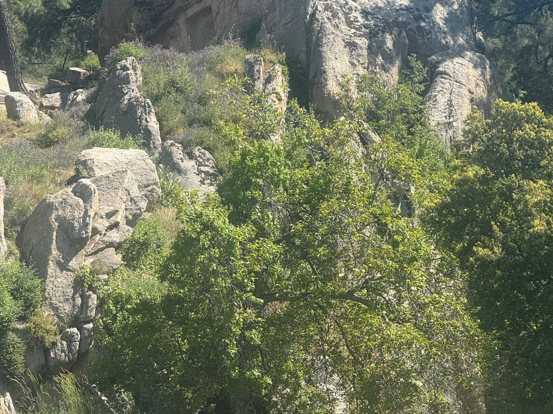 Labranda Ruins-穆拉必去景点