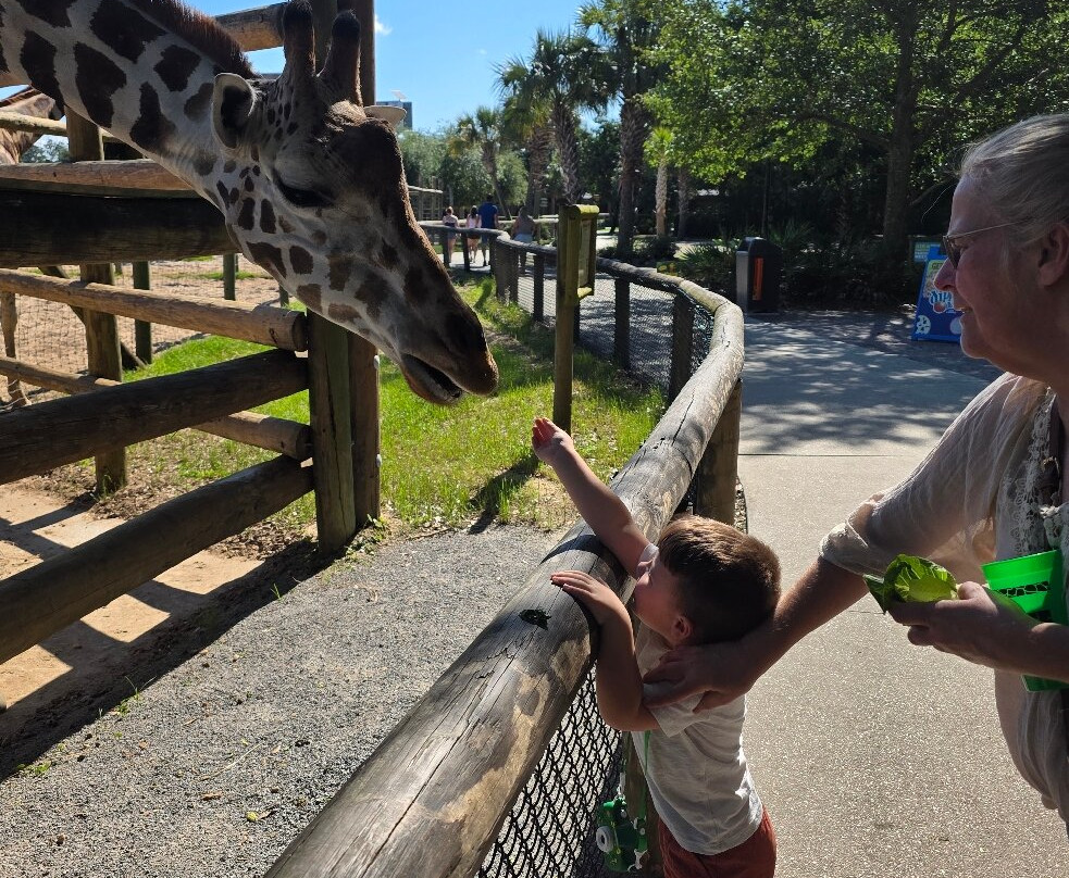 The Gulf Breeze Zoo-Gulf Breeze必去景点