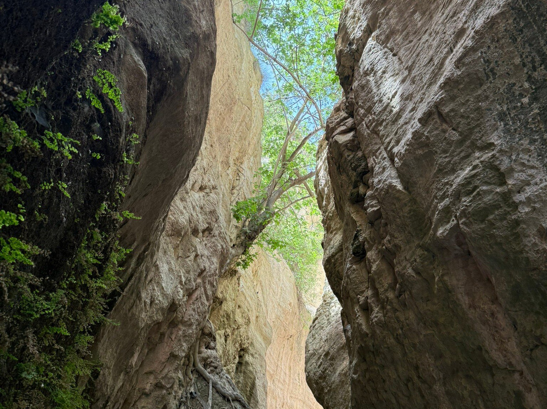 Avakas Gorge-帕福斯必去景点