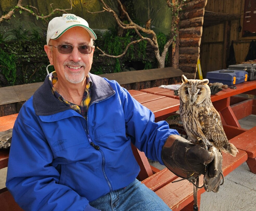 Mayfield Birds of Prey-Kilmacthomas必去景点