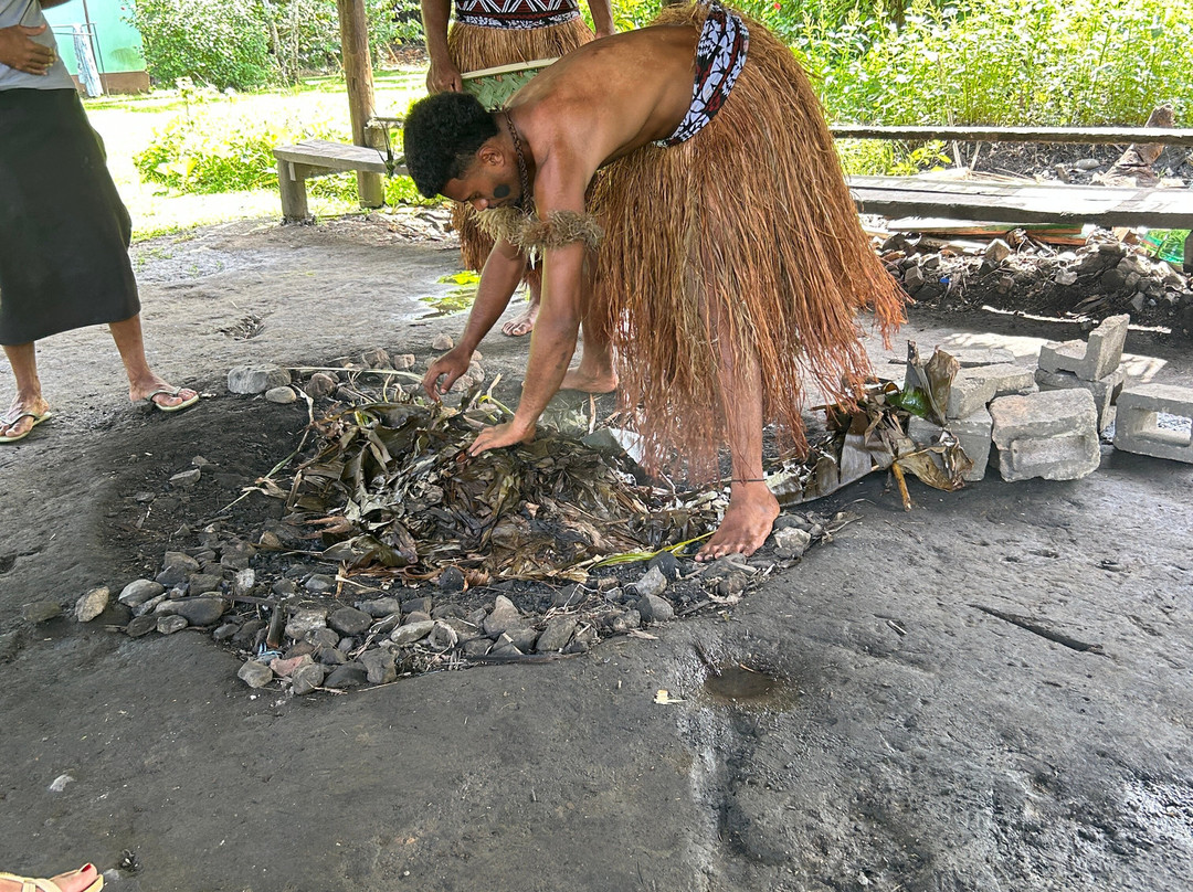 The Jewel Of Fiji - Day Tours-维提岛必去景点