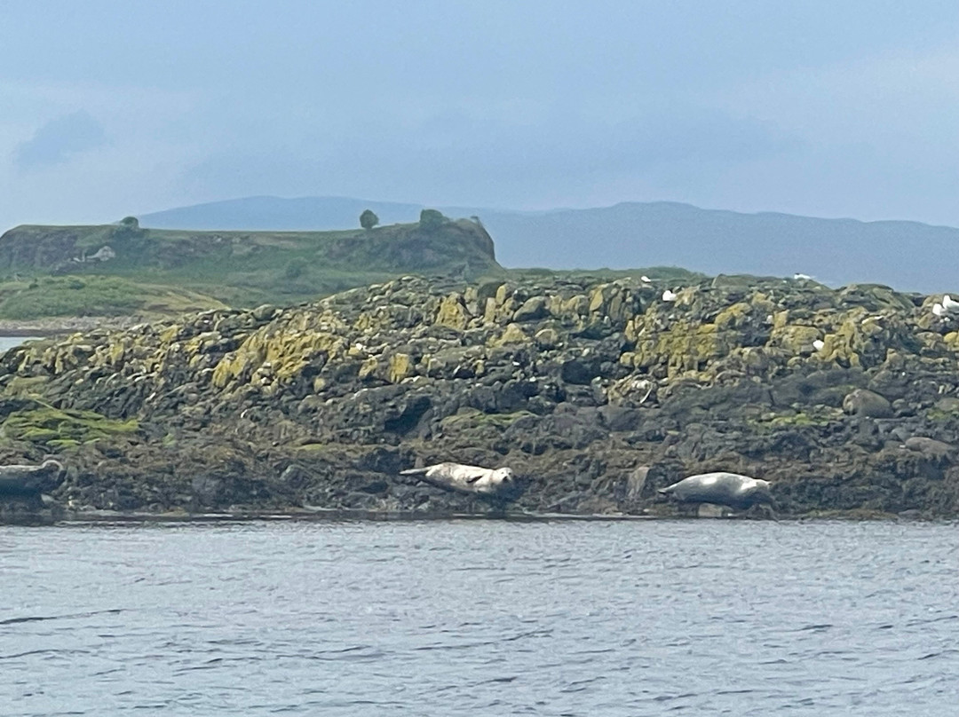 Argyll-Sea Tours-奥本必去景点