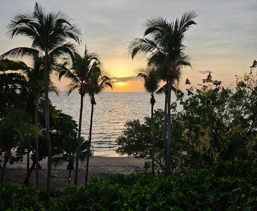 Hotel la Gaviota Tropical主图