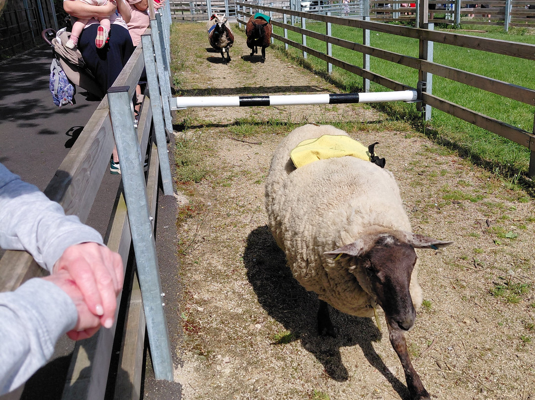 Cannon Hall Farm-Cawthorne必去景点