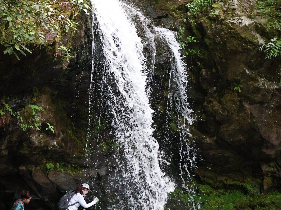 Great Smoky Mountains National Park-盖林柏格必去景点
