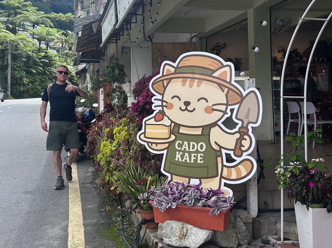 Cado Cafe Ch