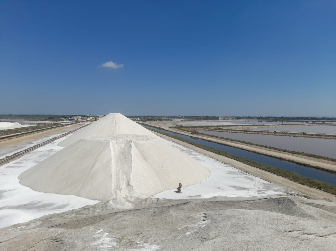 Salin d'Aigues-Mortes-艾格莫尔特必去景点