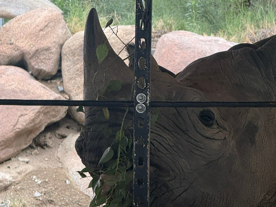 The Living Desert Zoo and Gardens-棕榈沙漠必去景点