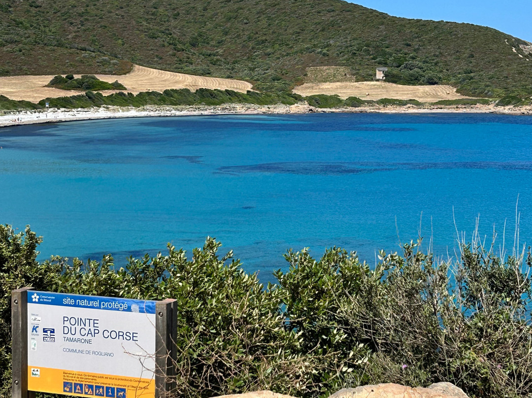 Plage de Tamarone-Rogliano必去景点