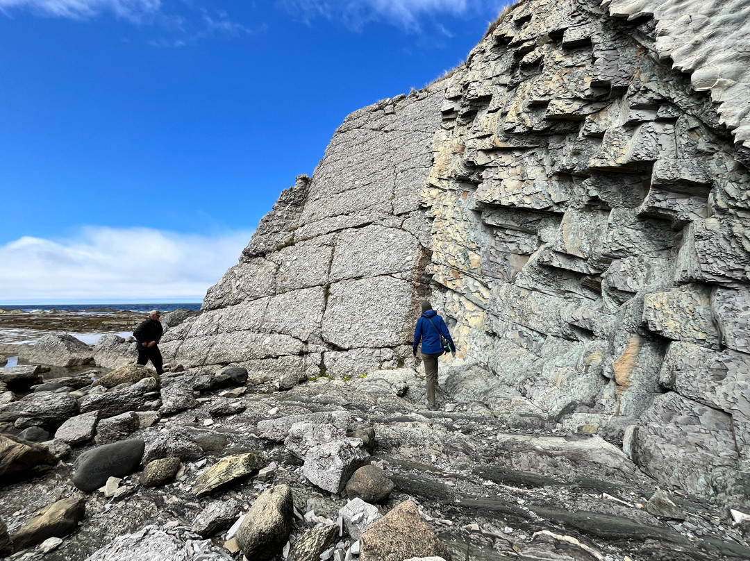 Explore Gros Morne