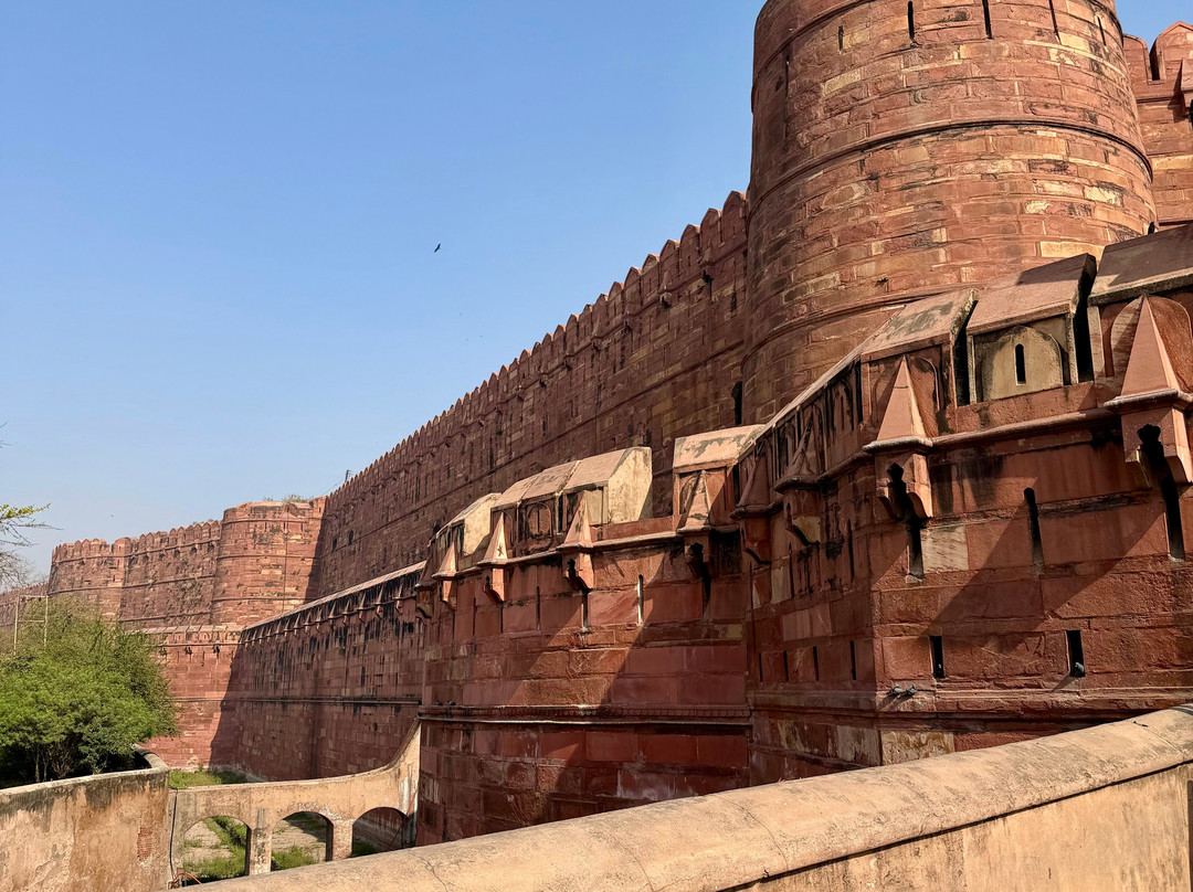 Taj, Coffee and local street food