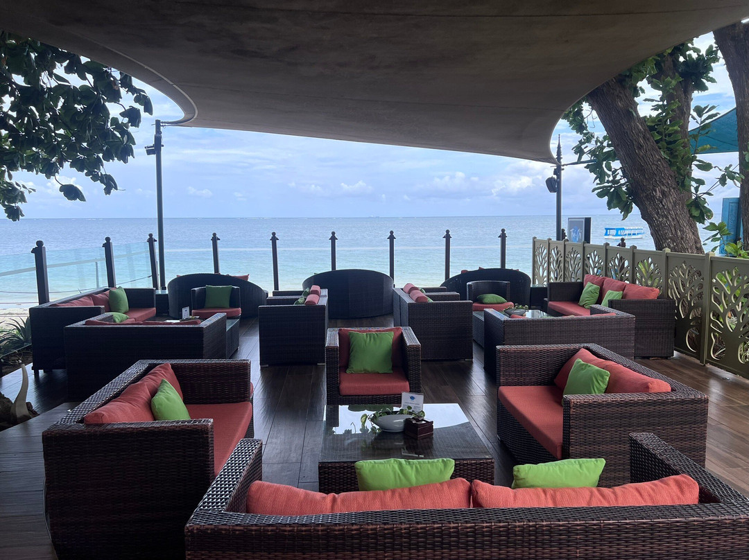 Thai Chi by the Sea