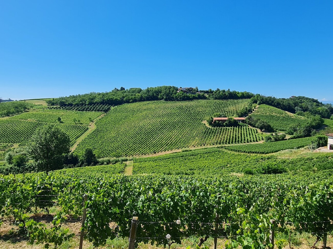 Cascina Ca' Del Bricco-Costigliole d'Asti必去景点