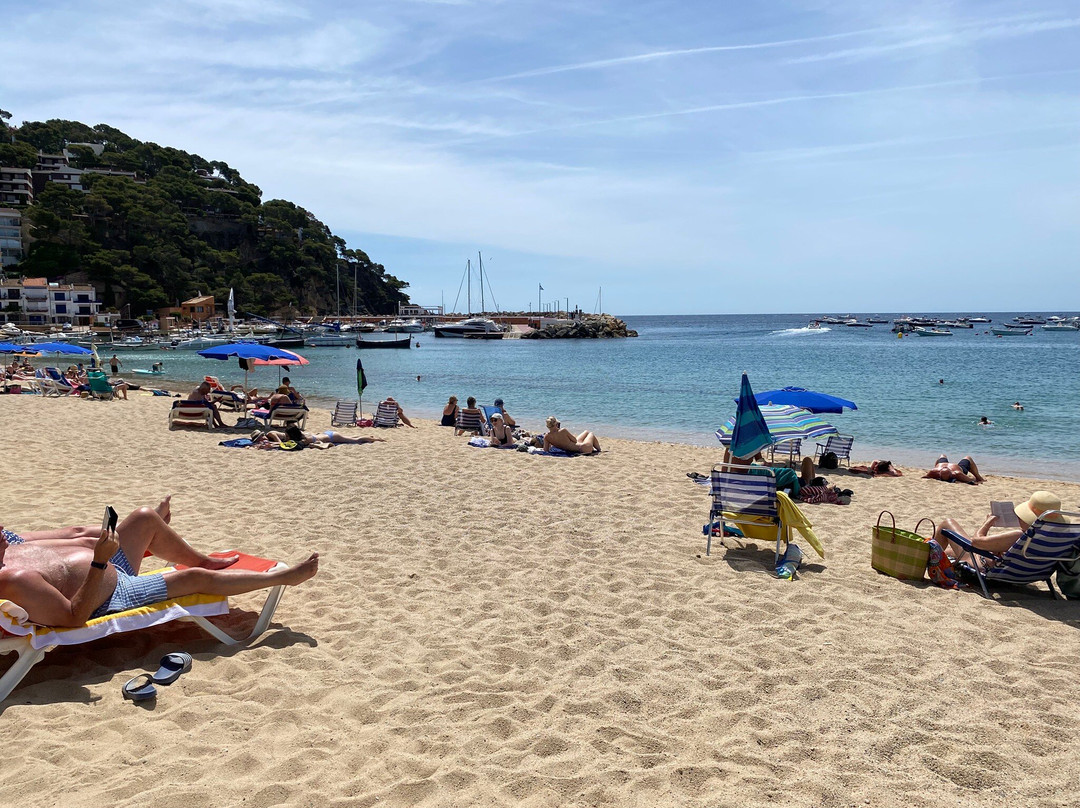 Playa De Llafranc-Llafranc必去景点
