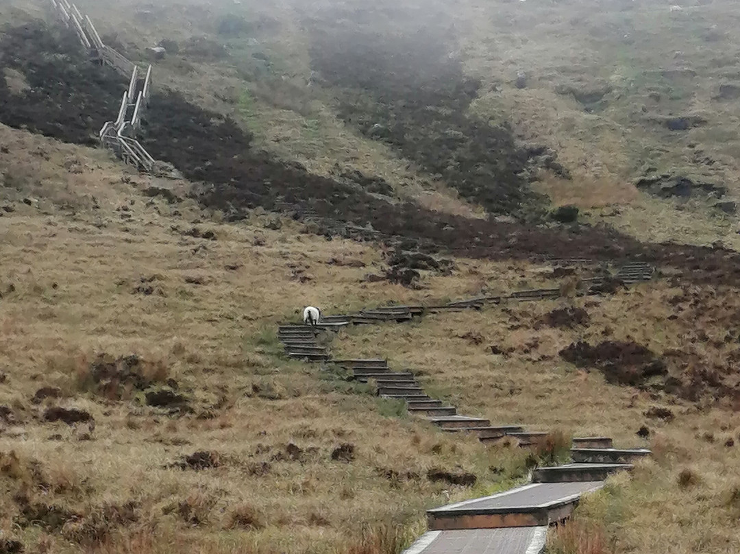 Cuilcagh Boardwalk Trail (Stairway to Heaven)-恩尼斯基林必去景点