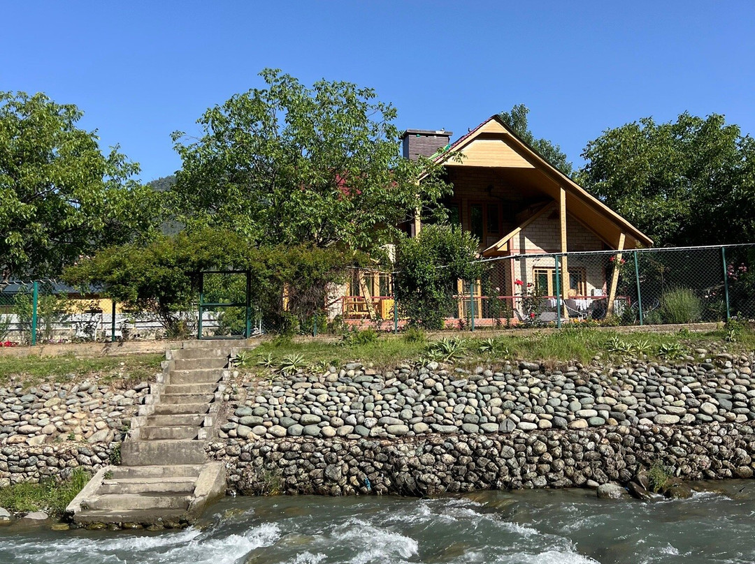 Birdsong Pahalgam