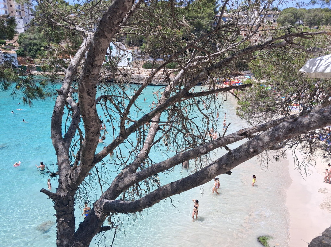 Cala Santanyi-桑塔尼必去景点