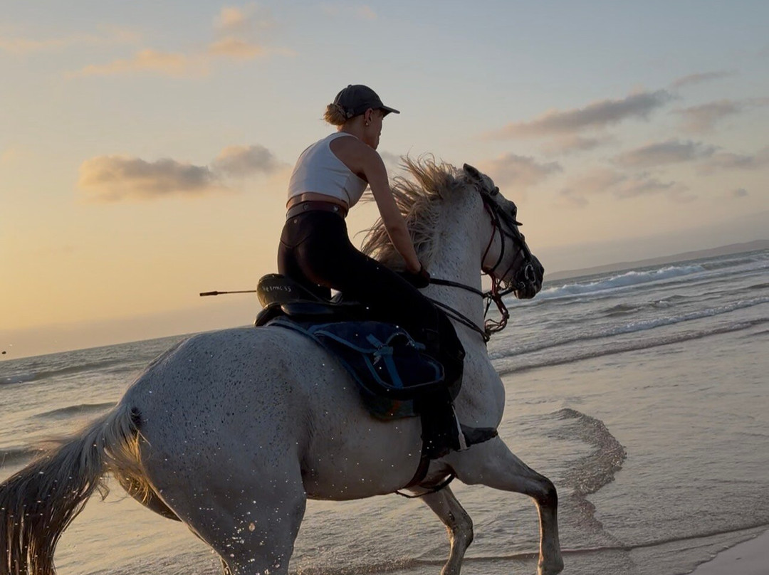 Cheval Essaouira-索维拉必去景点
