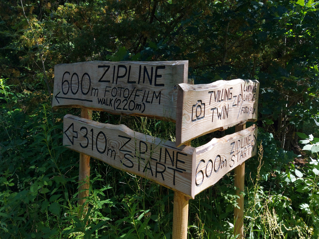 Multilevel Ziplines & Klätterpark-Hassleholm必去景点