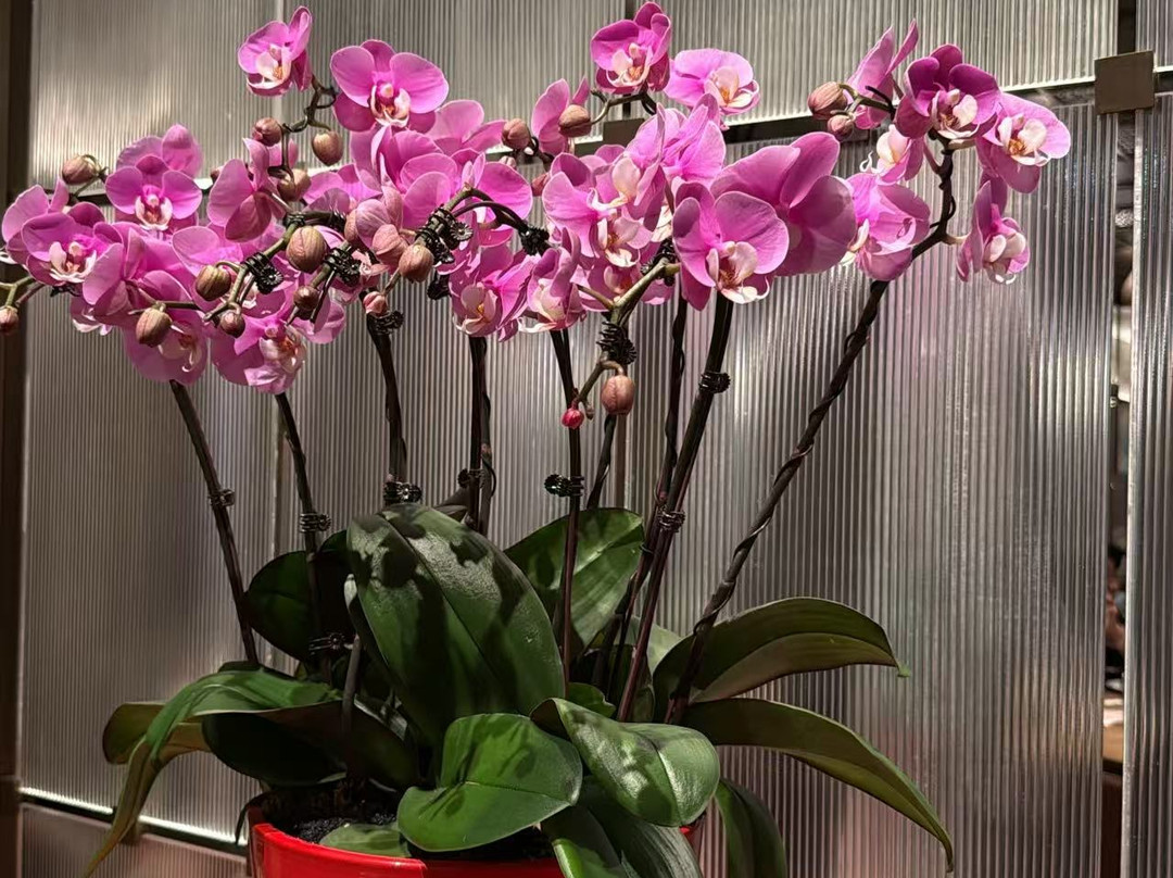 海口索菲特大酒店主图
