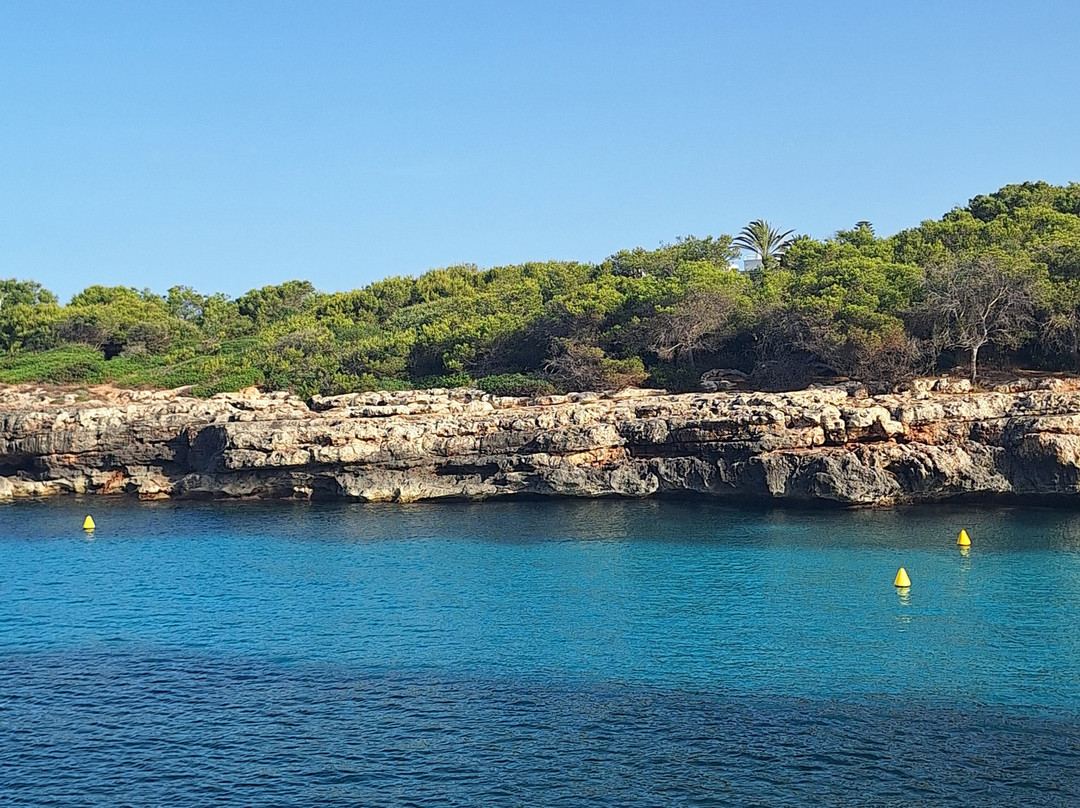 Globales Cala Blanca主图